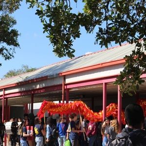 Meet your Posher, Mia